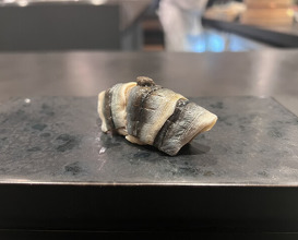 Dinner at Sushi Koma (鮨駒)