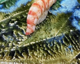 Dinner at Sushi Sho Nomura (鮨匠 のむら)