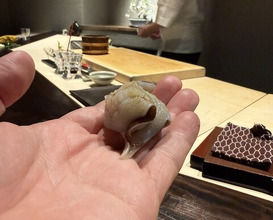 Dinner at Sushisho Saitō (すし匠 齋藤)