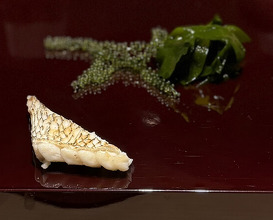 Dinner at Sushisho Saitō (すし匠 齋藤)