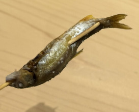 Dinner at Sushisho Saitō (すし匠 齋藤)