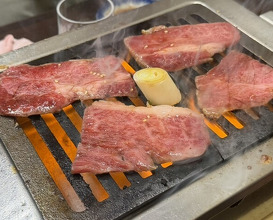Dinner at Stamina En (スタミナ苑)