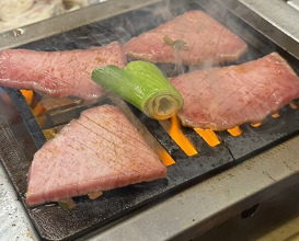 Dinner at Stamina En (スタミナ苑)