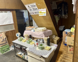 Dinner at Suzaki Shokuryohin Ten (須崎食料品店)