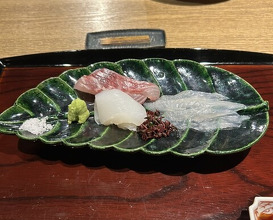 Dinner at Goko Machi Tagawa (御幸町 田がわ)
