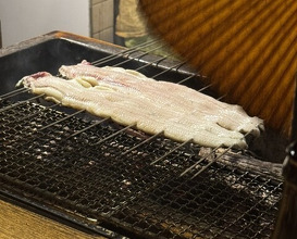 Dinner at Goko Machi Tagawa (御幸町 田がわ)