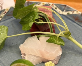 Dinner at Japanese cuisine Tagetsu (日本料理 太月)