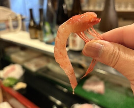 Dinner at Takara Zushi Bunten (宝寿司分店)