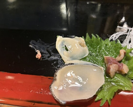 Dinner at Takara Zushi Bunten (宝寿司分店)