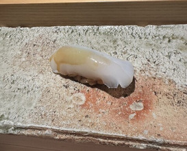Dinner at Takumi Shingo (匠 進吾)