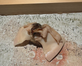 Dinner at Takumi Shingo (匠 進吾)