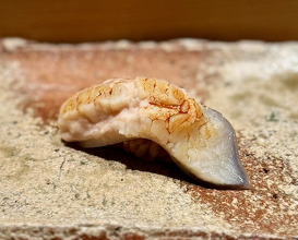 Dinner at Takumi Shingo (匠 進吾)