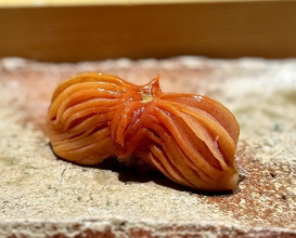 Dinner at Takumi Shingo (匠 進吾)