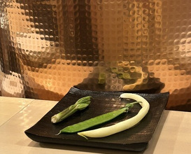 Dinner at Tenpaku (天白)