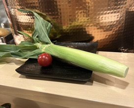 Dinner at Tenpaku (天白)
