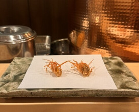 Dinner at Tenpaku (天白)