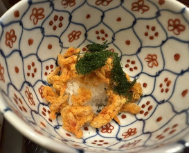 Dinner at Oryori Terasawa (御料理 寺沢)