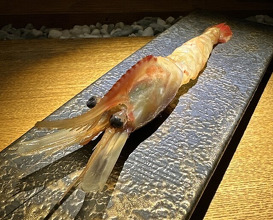 Dinner at Hayato (隼)