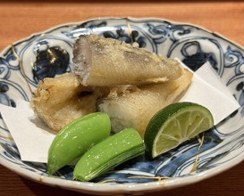 Dinner at Osaka Tenmangu Sushi Toyonaga (大阪天満宮 鮨とよなが)