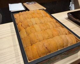 Dinner at Osaka Tenmangu Sushi Toyonaga (大阪天満宮 鮨とよなが)