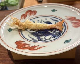 Dinner at Shunsai Ten Tsuchiya (旬彩天 つちや)