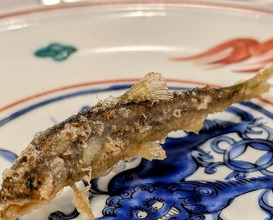 Dinner at Shunsai Ten Tsuchiya (旬彩天 つちや)