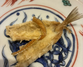 Dinner at Shunsai Ten Tsuchiya (旬彩天 つちや)