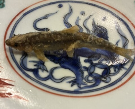 Dinner at Shunsai Ten Tsuchiya (旬彩天 つちや)