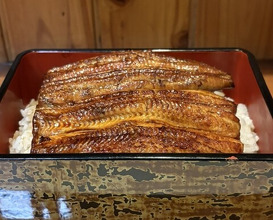 Dinner at Ikewanagi no Mise Tsugumi An (活鰻の店 つぐみ庵)