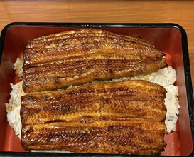 Dinner at Ikewanagi no Mise Tsugumi An (活鰻の店 つぐみ庵)