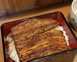 Dinner at Ikewanagi no Mise Tsugumi An (活鰻の店 つぐみ庵)