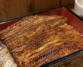 Dinner at Ikewanagi no Mise Tsugumi An (活鰻の店 つぐみ庵)