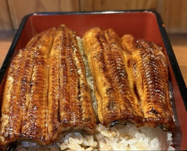 Dinner at Ikewanagi no Mise Tsugumi An (活鰻の店 つぐみ庵)