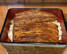 Dinner at Ikewanagi no Mise Tsugumi An (活鰻の店 つぐみ庵)
