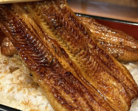 Dinner at Ikewanagi no Mise Tsugumi An (活鰻の店 つぐみ庵)