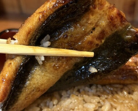 Dinner at Ikewanagi no Mise Tsugumi An (活鰻の店 つぐみ庵)