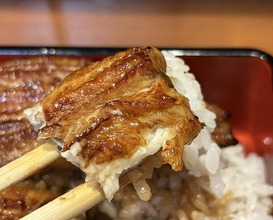 Dinner at Ikewanagi no Mise Tsugumi An (活鰻の店 つぐみ庵)