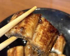 Dinner at Ikewanagi no Mise Tsugumi An (活鰻の店 つぐみ庵)