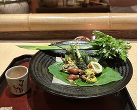 Dinner at Shorenin Monzeki Mae Tsukioka (青蓮院門跡前 月おか)