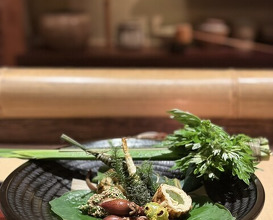 Dinner at Shorenin Monzeki Mae Tsukioka (青蓮院門跡前 月おか)