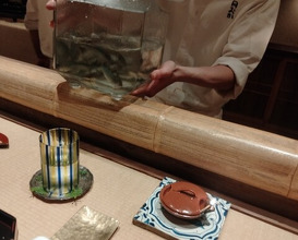 Dinner at Shorenin Monzeki Mae Tsukioka (青蓮院門跡前 月おか)