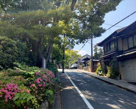 Dinner at Shorenin Monzeki Mae Tsukioka (青蓮院門跡前 月おか)