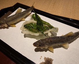 Dinner at Shorenin Monzeki Mae Tsukioka (青蓮院門跡前 月おか)