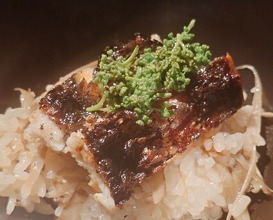 Dinner at Tsukumo (白)