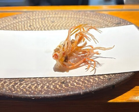 Dinner at Tsuru Hachi (鶴八)