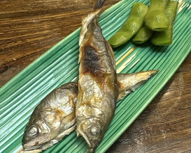Dinner at Tsuru Yoshi (つる由)