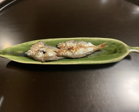 Dinner at Tsuru Yoshi (つる由)