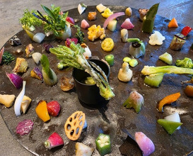 Dinner at TSUSHIMI