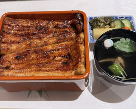 Dinner at Unagi Uomasa (うなぎ 魚政)