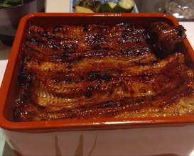 Dinner at Unagi Uomasa (うなぎ 魚政)